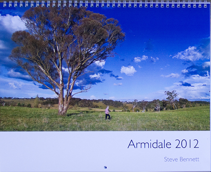 Armidale country side past huge tree on calendar cover